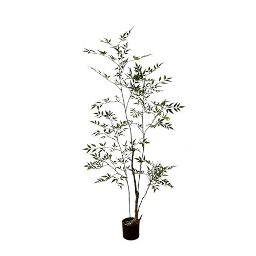 [LJKI] tFCNO[ lHϗtA 160cm ϗt  ^  lH K̖  ItBX AA ȒP sv Q̐SzȂ ͂Ȃ | ou[ 蕨   { A ~͐A