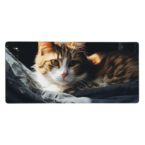 Tapis de souris de jeu et d'écriture aux finitions soignées 40 x 90 cm
