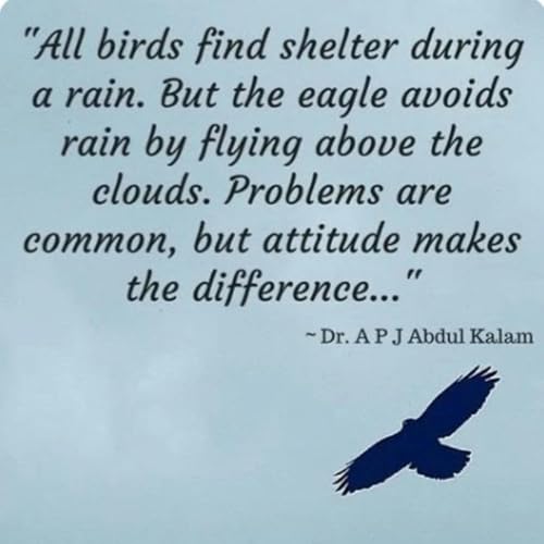 Page de couverture de "Eagle" bird with all the wisdom