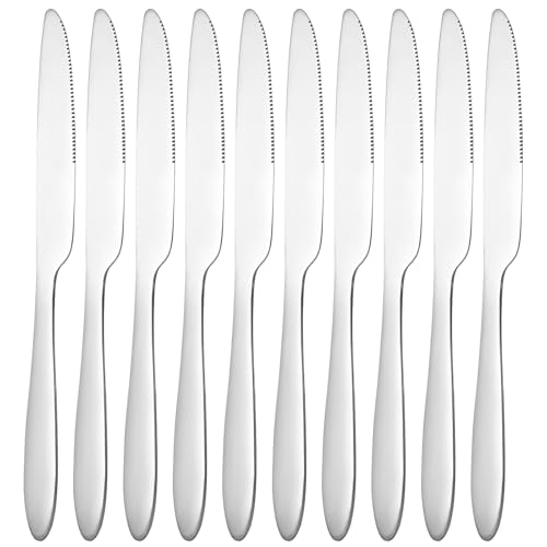 Defresit Dinner Knives Set of 10, Stainless Steel Steak Knife, Butter Knife, Table Knives, High Polished Sleek Silver Design for Home Kitchen and Restaurant Use, Dishwasher Safe