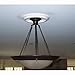 Ekena Millwork CM12TR Traditional Ceiling Medallion (Fits Canopies up to 2 3/4