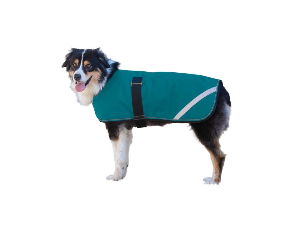 Kensington - Abrigo impermeable para clima frío para perro, chaqueta cálida para ropa de perro, traje de nieve, puerto, talla S