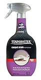 Stainmaster Carpet Care Stain Remover, 22 oz
