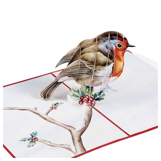 COLOFALLA Carte de Noël 3D avec Enveloppe Carte de Vœux Rouge-gorge Oiseau Accessoire Cadeau de Noël