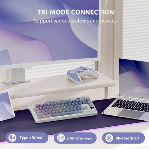 Image of RK ROYAL KLUDGE M65 Wireless Mechanical Keyboard with Volume Knob, 60% Tri-Mode Gaming Keyboard 2.4G /BT /USB-C, Gasket Mount, Battery Display, PBT Keycaps, Hot-Swappable Cream Switch, Blue
