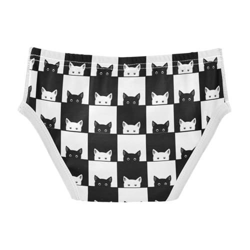 Boys' Exclusive Briefs Toddler Underwear 95% Combed Cotton Boxerbriefs 2T Cat Face Grid Pattern 722