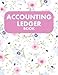 Accounting Ledger Book: Simple Accounting Ledger for Bookkeeping and Small Business Income & Expense Account Recorder & Tracker