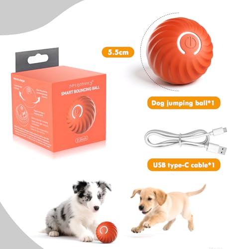 Gerbala hundespielzeug Ball, Selbstrollender Hund, Interaktives Hundespielzeug Mit USB-Ladekabel, Interaktives Hunde Ball Spielzeug für langeweile drinnen draußen (B)