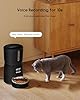 Faroro Distributore Automatico Cibo Gatti, 4L Dispenser Crocchette Gatto con 1-6 Pasti Al Giorno, Porzioni Regolabili, Voce 10s, Alimentazione Lenta (Nero)
