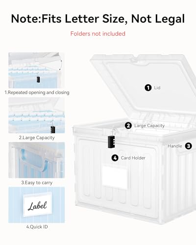 Oterri Plastic File Box with Lid for Letter Size File Folders, Hanging File Folder Box, File Organizer for File Cabinet, Home, Office,School(Clear, Large-1 Pack Without Folders)