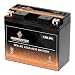 YT12B-BS Powersport Battery- Rechargeable Sealed AGM Battery- Replaces MTX12B-BS, ETX12B-BS, PTX12B-BS- Chrome Battery