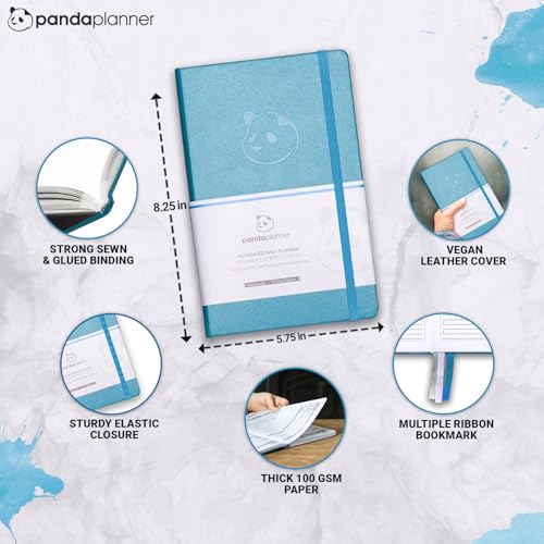 Panda Planner Classic 2025-2026 Compact Cyan