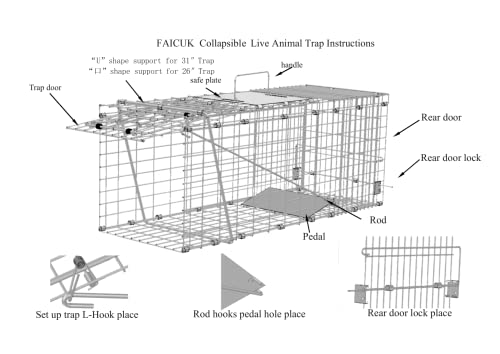 Faicuk Large Collapsible Humane Live Animal Cage Trap for Raccoon, Opossum, Stray Cat, Rabbit, Groundhog and Armadillo - 32" x 11" x 13"