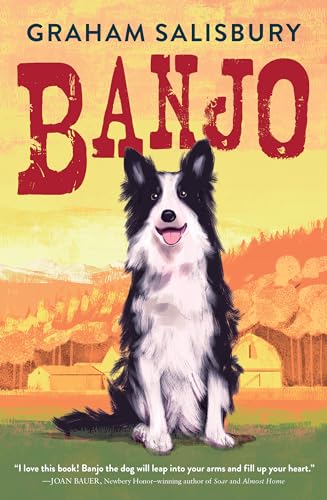 Banjo view 2
