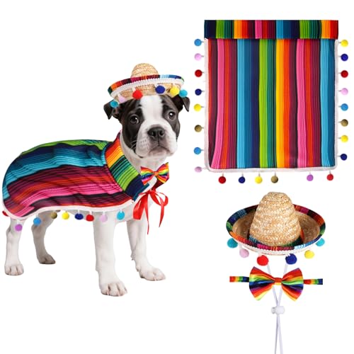 Disfraz Mexicano para Perro Pequeño con Sombrero y Accesorios