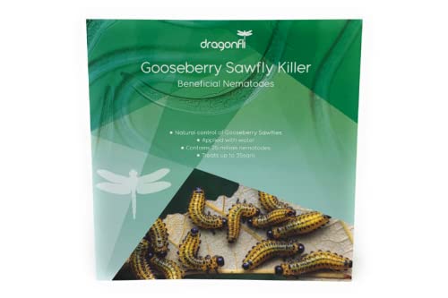 Dragonfli Gooseberry Sawfly Killer Nematodes - Naturally Kill Gooseberry Sawfly Larvae Pests