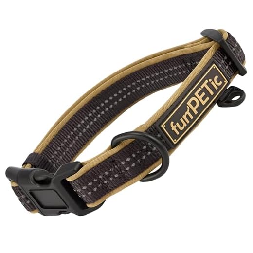Gredstar Halsband Hund Personalisierte Hundehalsbänder mit D-Ring Leder Hundehalsband Namensschild 8 funPETic Hundehalsband - Verschiedene Größen, gepolstert, reflektierend, für große und kleine Hunde (S)