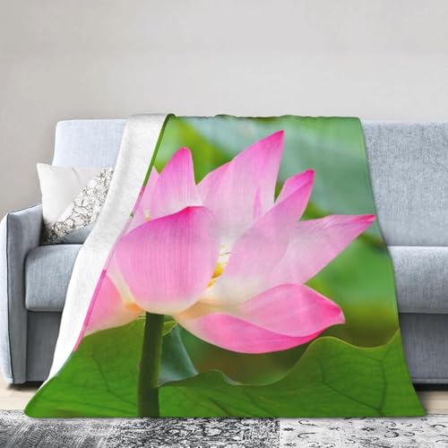 uPbg @̉ԂQ [΍ tl ӂӂ _炩G y \ ÓdCh~ lGKp