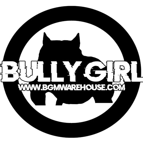 10 Years in the Game: How to Build a Bully LEGACY