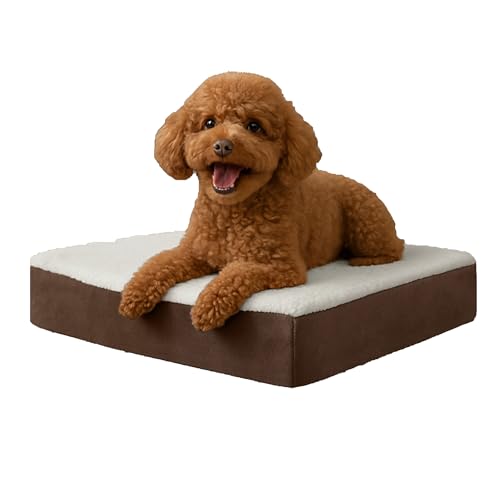 PETMAKER Cama ortopédica para cães - Tapete de 2 camadas de espum...