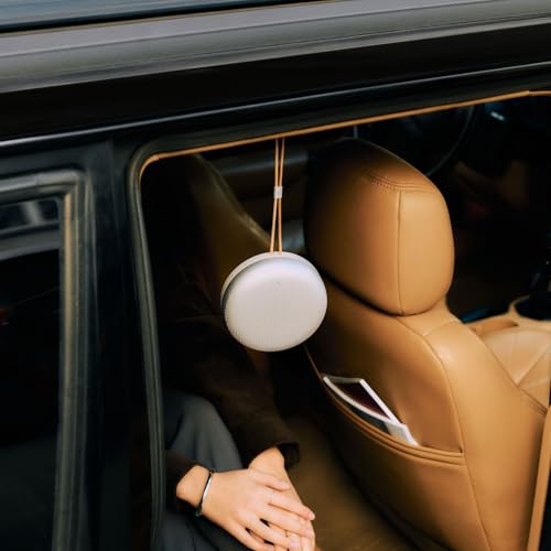 Image of Bang & Olufsen Beosound A1 (3rd gen) - Portable Compact Wireless Bluetooth Speaker, Waterproof (IP67), C2C Certified, up to 24 Hours of Playtime and 3 Microphones for Voice Calls - Natural Alluminium