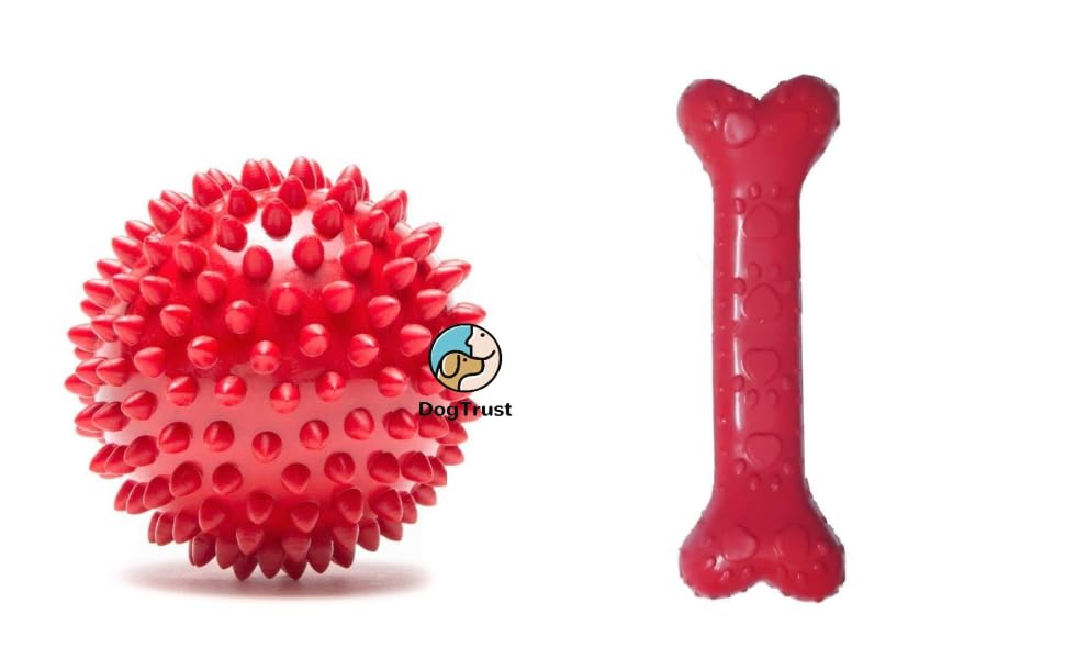 Dog Trust Best Interactive Toys for Cats - Motion Mouse/Mice and a Scratching Pad, Catch The Mouse, Catnip, Cat Scratcher Catnip Toy (B09C4MJ6YV) Amazon Price History, Amazon Price Tracker