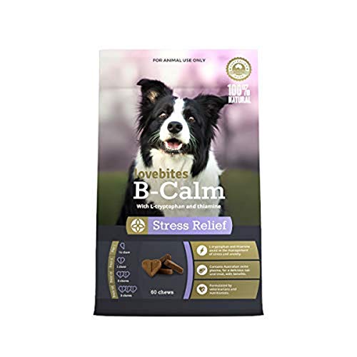 anxiety relief for dogs