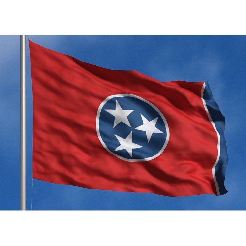 Allied Flag - 3' x 5' Outdoor Nylon Tennessee State Flag - Made in USA - Vivid Color and Fade Resistant - Reinforced Hem and Brass Grommets
