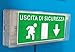 2 TARGHETTE ADESIVE"USCITA DI SICUREZZA" 10x23cm. DA APPLICARE SU LAMPADE DI EMERGENZA - ADESIVI MOLTO RESISTENTI ED UTILIZZABILI ANCHE PER ESTERNO.