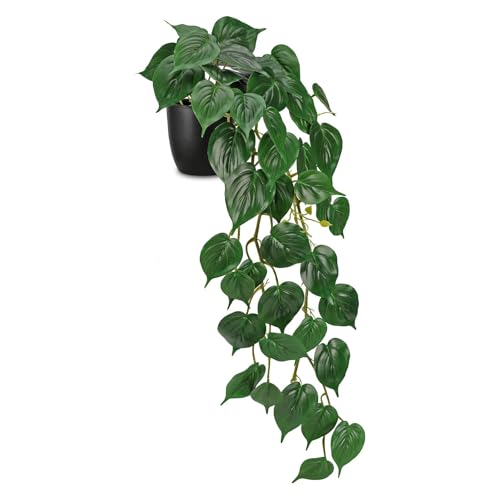 Villa Como tFCNO[ CeAO[ |bgt |gX A  V nMO ݂艺 Ǌ| lHϗtA  킢 (|gX02, )