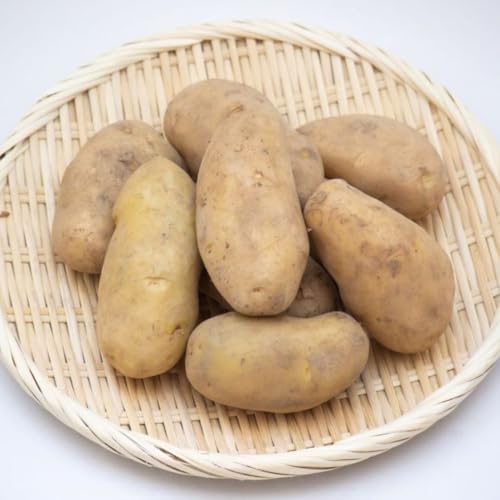 [2026年10月中旬出荷予定]令和8年産 厚真ファームのこだわりじゃがいも メークイン 10kg