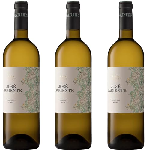José Pariente - Vino Blanco Sauvignon Blanc | DO Rueda | Crianza sobre lías 4 meses | Notas minerales y persistentes | Fermentación en frío | Pack 3 Botellas 75cl