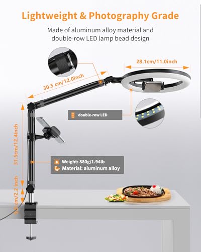 LUOLED Anel de luz com suporte e suporte de telefone, anel de luz USB de 25 cm para mesa, suporte de