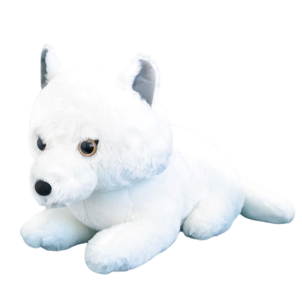 Arctic fox ケーセン ホッキョクギツネ ぬいぐるみ FANS ホッキョク