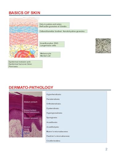 Image of CoreBTR 3.0 Unannotated Workbook, Believe Trust Revise, All Subjects, Vol. 1 & 2, Set of 2 {Video Included with books}