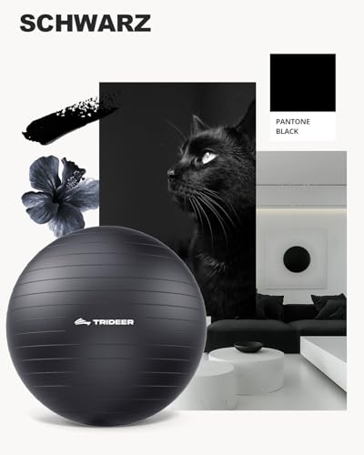 Trideer Dicker Gymnastikball Schwangerschaft, Pezziball, Anti-Burst Pilates Ball, 45-85 cm Sitzball Büro für Balance, Yoga als Fitness Kleingeräte und Balance Stuhl im Gym-Home-Büro