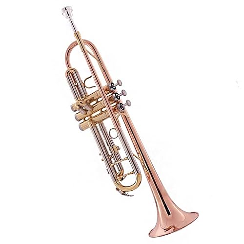 Amazon | 初心者金管楽器 トランペット 3 色 B-down