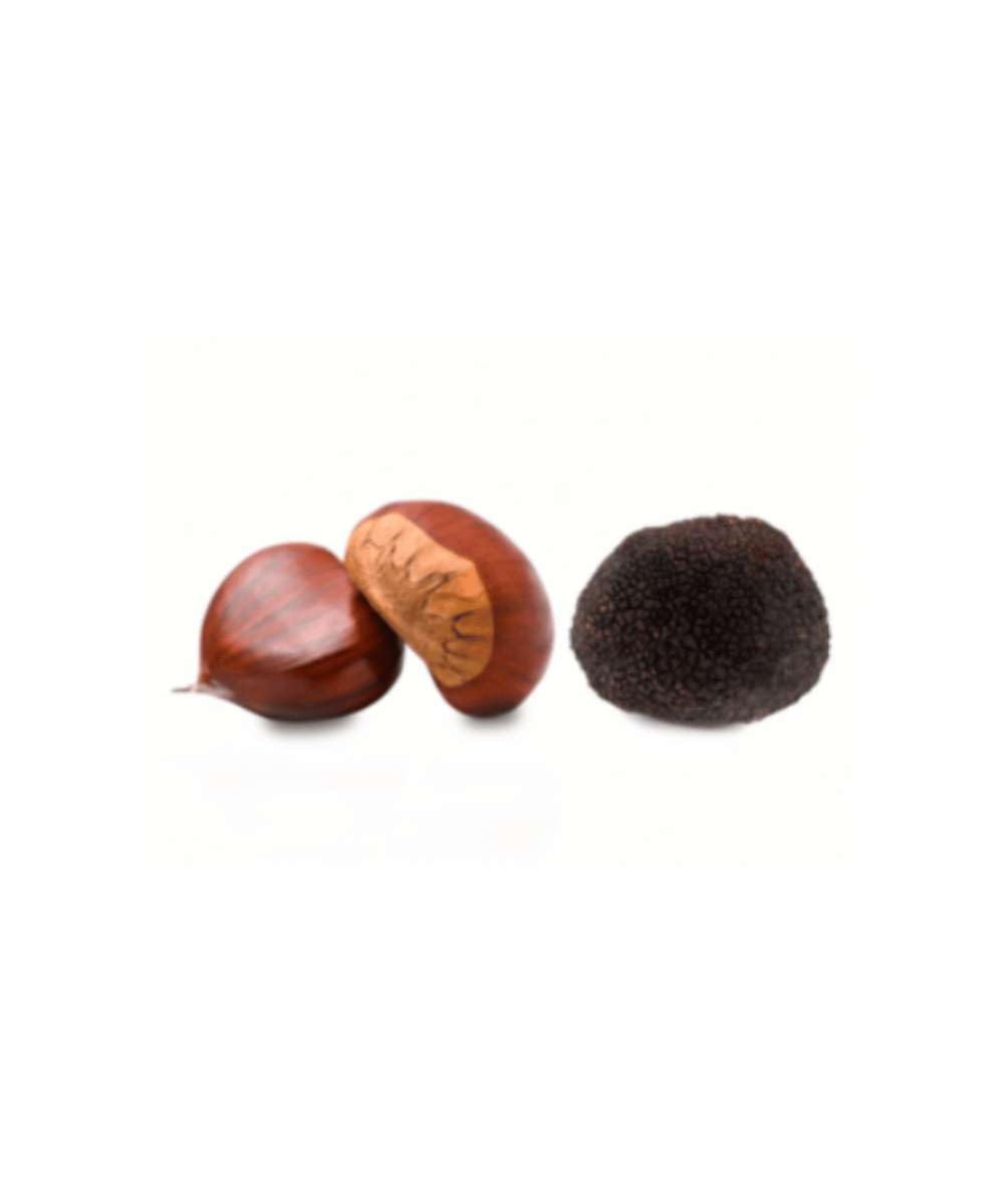 Trufa Negra Melanosporum S - (10gr) - 10gr