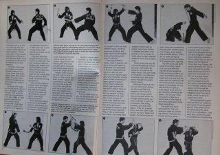 ProForce Thunder Poom Martial Arts Belts - Size 3