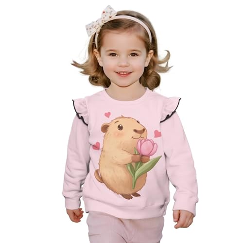 Toddler Girl Sweatshirt Long Sleeve Drop Shoulder Pullover Tops Casual T-Shirt3