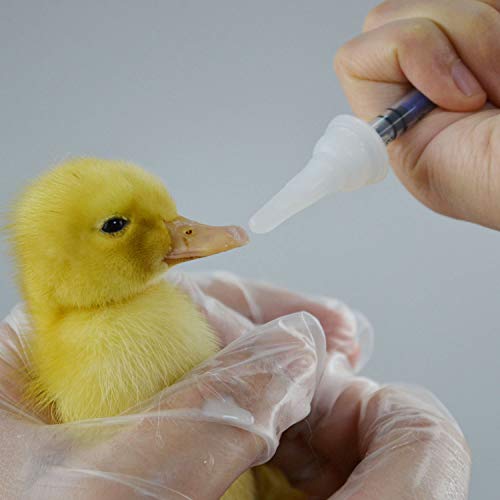 Newborn Kitten Puppy Feeding Bottles For Nursing, Pet Nurseing Feeding Bottle Kits With Replacement Nipples #TOP4