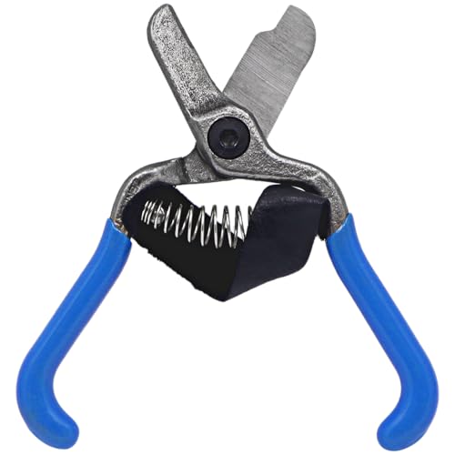 Tijeras forjadas de 5.5 pulgadas, juego de 3 piezas miniatura 1