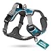 Embark Adventure Dog Harness, Easy On and Off with Front and Back Leash Attachment Points & Control Handle - No Pull Training, Size Adjustable and No Choke (Large - Teal Blue)