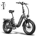 Fafrees FF20 Polar, E Bike Elektrofahrrad 20