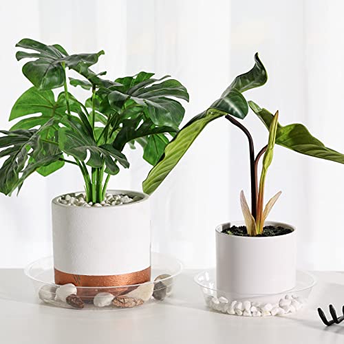 Truedays 15 Pack(6 Inch/8Inch/10Inch) Clear Plant Saucers Flower Pot Tray Excellent For Indoor & Outdoor Plants #TOP5