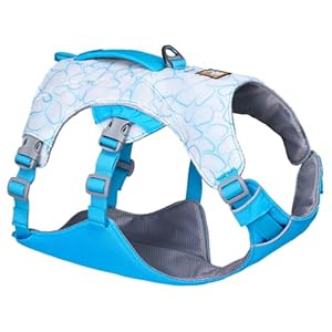 Ruffwear, Swamp Cooler Dog Harness, Lightweight with Evaporative Cooling for Hot Weather, Biolumin Blue, Medium