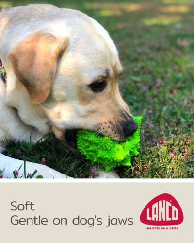 Juguete mordible sensorial para perros medianos y grandes miniatura 3