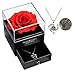 Produktbild Eaprala Ewige echte Rose mit I Love You Halskette 100 Sprachen Schmuck Geschenkbox Ewige echte Rose für Valentinstag Muttertag Hochzeit Jahrestag Geburtstag Geschenk für sie (Rot)