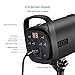 Neewer 500W Studio Strobe Flash Photography Lighting Kit: (2)Monolight,(2)Softbox,(1)RT-16 Wireless Trigger and Receiver, (2)33 inches Translucent Umbrella for Video Portrait Location Shooting(N-250W)