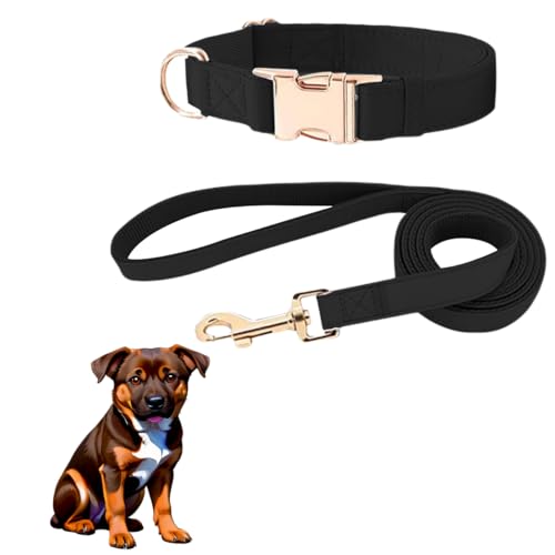 MYPETSTOCK® Set Collare e Guinzaglio in Pelle Morbida per Cani di Taglia Media/Grande fino a 25kg - Collare Regolabile, Guinzaglio Resistente, Design Elegante e Robusto (Nero, Taglia L)